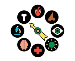 Illustration of a "clock" with images such as the eye, bone, and brain instead of numbers