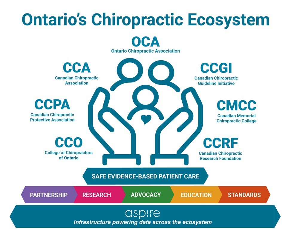 ECOSYSTEM-GRAPHIC ECOSYSTEM-GRAPHIC
