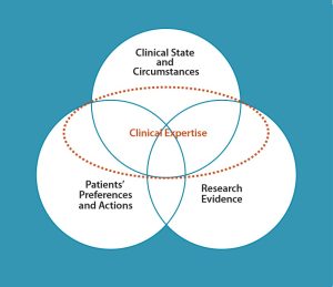 Haynes’ (2002) four-part model, adopted as EBFAC’s preferred model of EBP