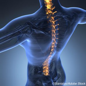 upper torso body skeleton showing the spine and vertebral column in Doctors Post article