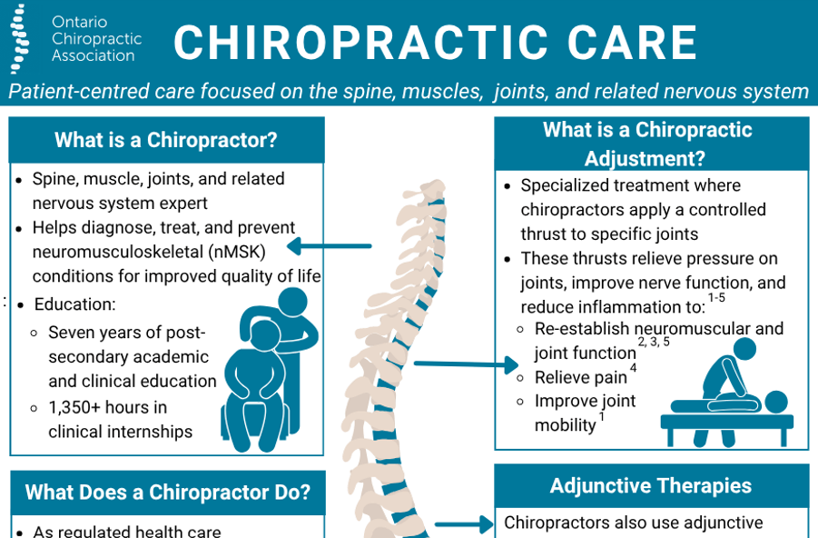 Preview thumbnail of chiropractic Poster - KT Infographic