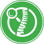 Research-spinemagnify EHC icon with spine