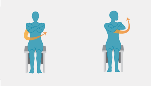 Seated exercises 1 - upper body twists