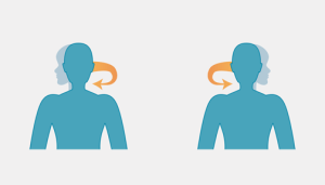 Seated exercises 5 - neck rotations