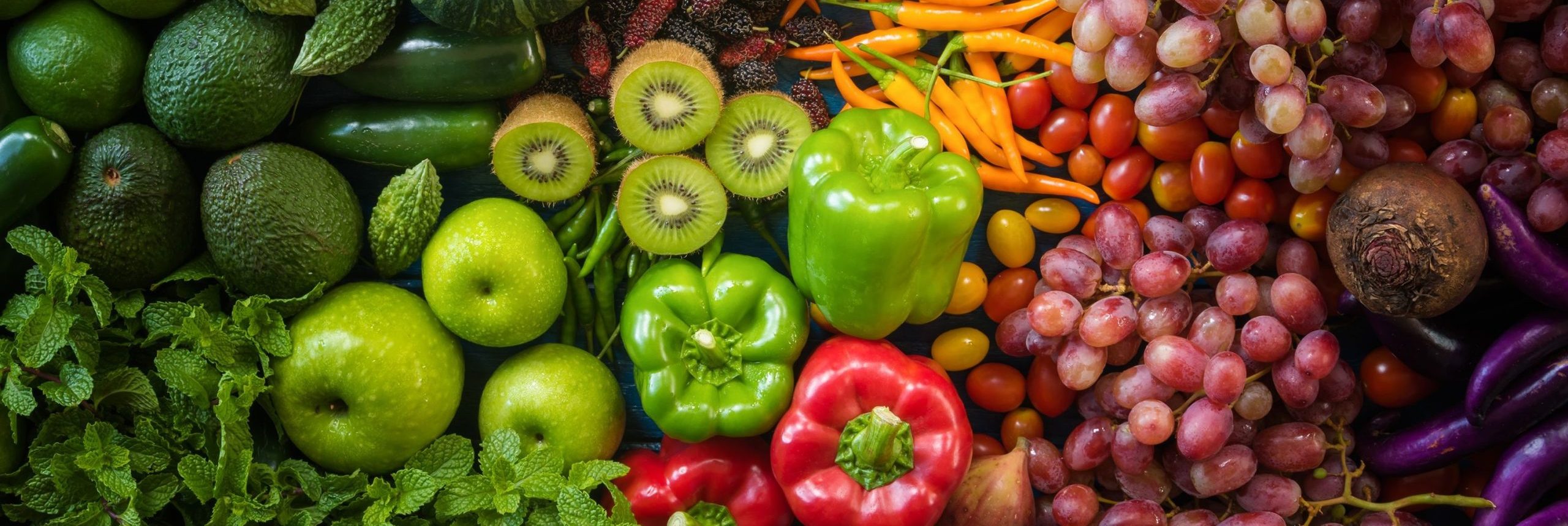 The Power of Proper Nutrition