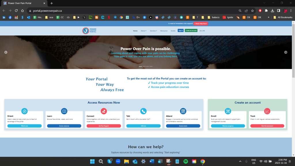 Screenshot of pain portal for adults