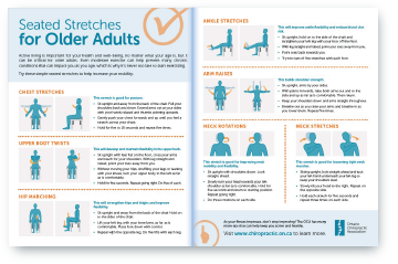 Seated Stretches for Older Adults